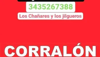 Alarmas ojo blindado, Paraná, Oro Verde y al rededores, - Los Jilgueros &