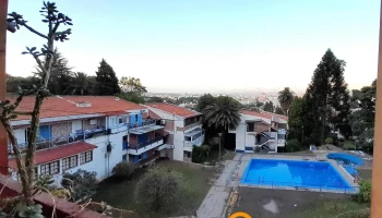 Asesoramiento Tesis - Salta
