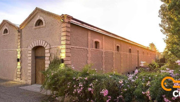 Bodega Benegas - Luján De Cuyo