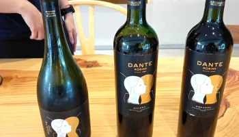 Bodega Dante Robino - Mendoza