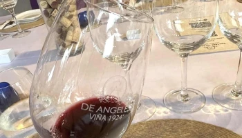 Bodega De Angeles Old Vines Vistalba Viña 1924 - Luján De Cuyo