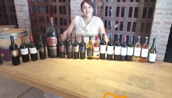 Bodega Fabre S.a. - Luján De Cuyo