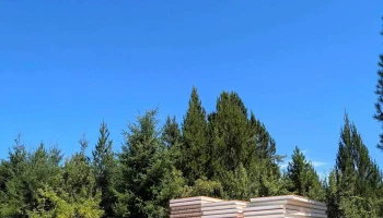 Bolsón Sip - Lago Puelo