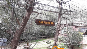 Carpinteria Nacho - La Granja