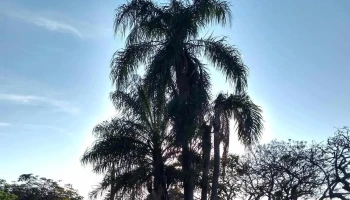 Catalinas Country Club - Corrientes