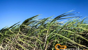 Comercial Erma Srl - T4107Ckf Yerba Buena Comercial Erma Srl - T4107Ckf Yerba Buena