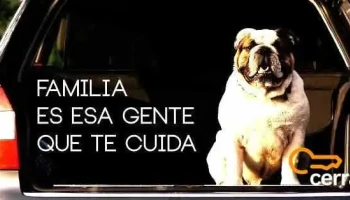 Damián Lastra - Experto en prevención - Zapala