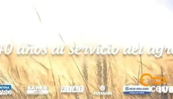 Distribuidora Almafuerte - Paraná Distribuidora Almafuerte - Paraná