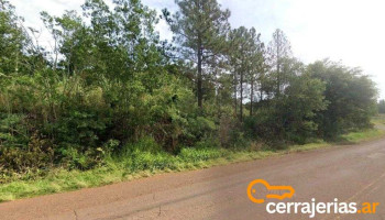 El Cardenal - Misiones