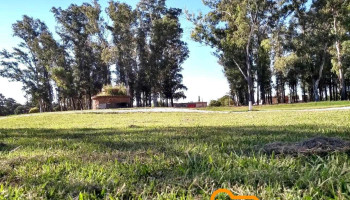 Gral. Roca - Gral. Roca