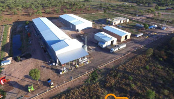 Grupo Pampa Agro Srl - Pampa Del Infierno