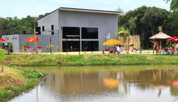 Lagunas de la Selva - Los Helechos