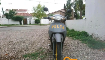 Pelta - Córdoba