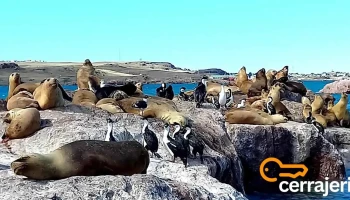 Puerto Deseado - Puerto Deseado