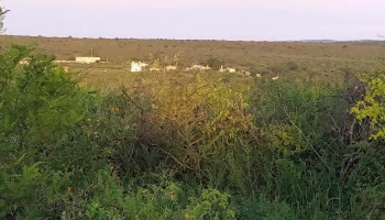 Puro Arte, Fabrica de pisos y Revestimientos - Villa Tulumba