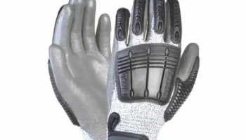 Roguant Srl - Cipolletti Roguant Srl - Cipolletti