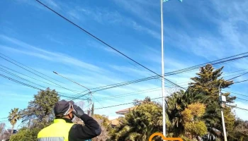Sarpol | Dalvian - Mendoza