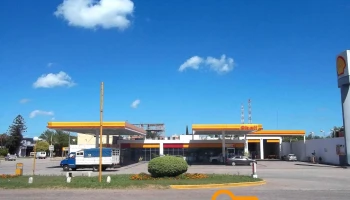 Shell - Calchaquí