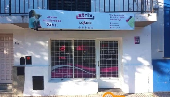 Strix Paraná - Paraná Strix Paraná - Paraná