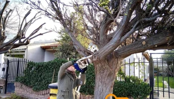 Vivero Velez Ancaten Servicio De Jardinería En General - Los Perales