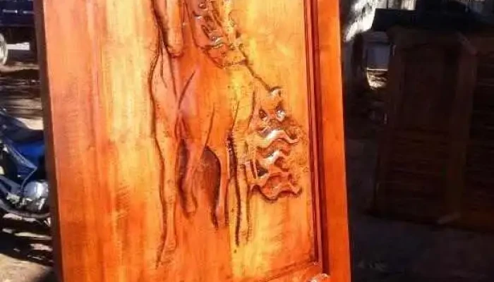 Aberturas Chaco Autentico Del Propietario - Quitilipi