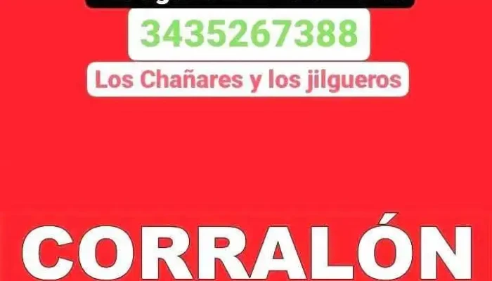 Alarmas ojo blindado, Paraná, Oro Verde y al rededores, - Los Jilgueros &
