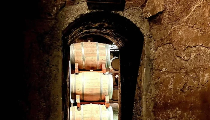 Altieri Wines -    Vinorum Fotos - Luján de Cuyo