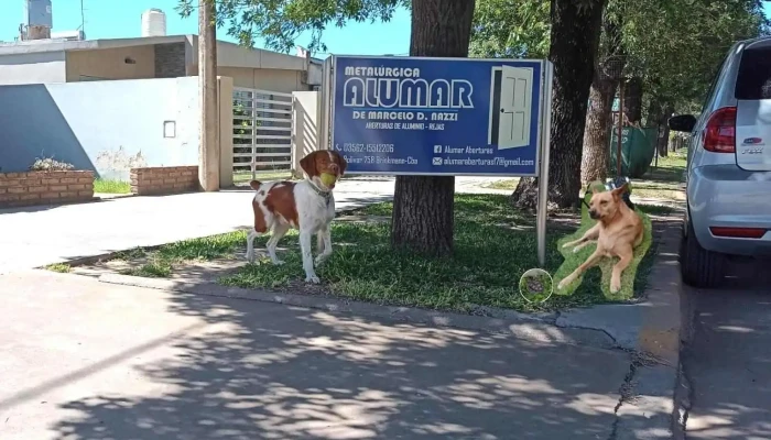 Alumar Aberturas Y Seguridad -  Zona - Brinkmann