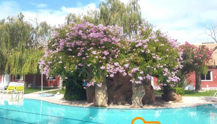 Apart Hotel Villa Don Tomas -  Del Propietario - Rawson