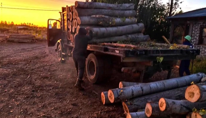 Aserradero Los Pincheiras -  Madera - Senillosa
