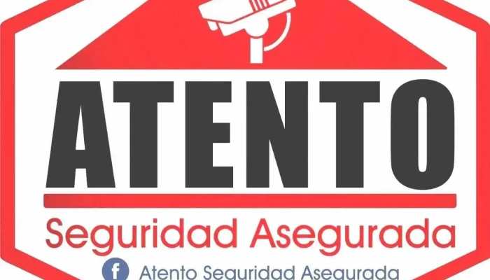 Atento Seguridad Electrónica - Argentina