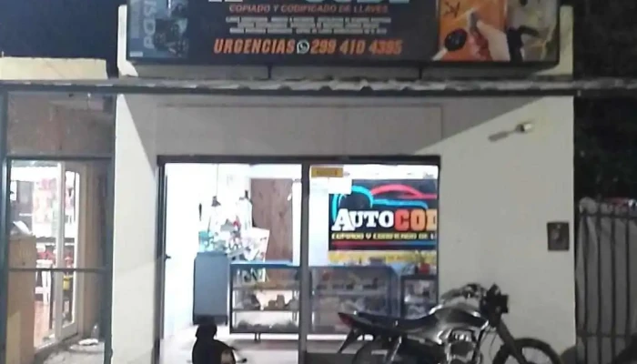 Autocode - Catriel