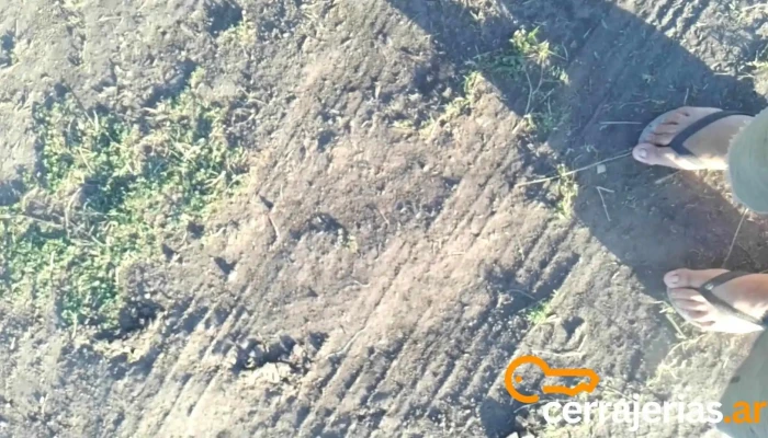 Basail -  Videos - Basail