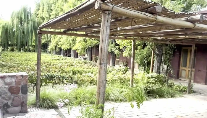 Bodega Benegas -  Cerca De Mi - Luján de Cuyo