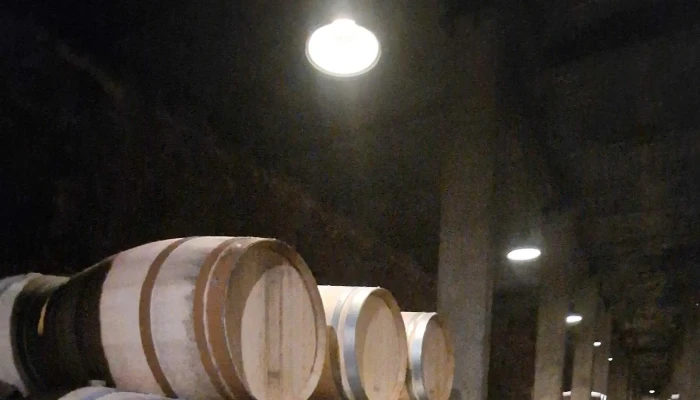 Bodega Benegas -  Horario - Luján de Cuyo
