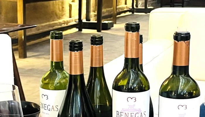Bodega Benegas -  Lujan De Cuyo - Luján de Cuyo