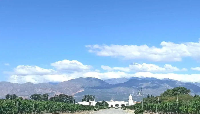 Bodega El Esteco -  Instagram - Cafayate