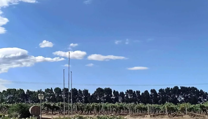 Bodega El Esteco -  Telefono - Cafayate