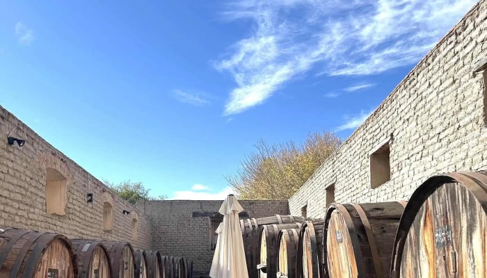 Bodega El Porvenir De Cafayate -  Donde - Cafayate