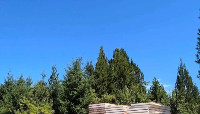 Bolsón Sip - Lago Puelo
