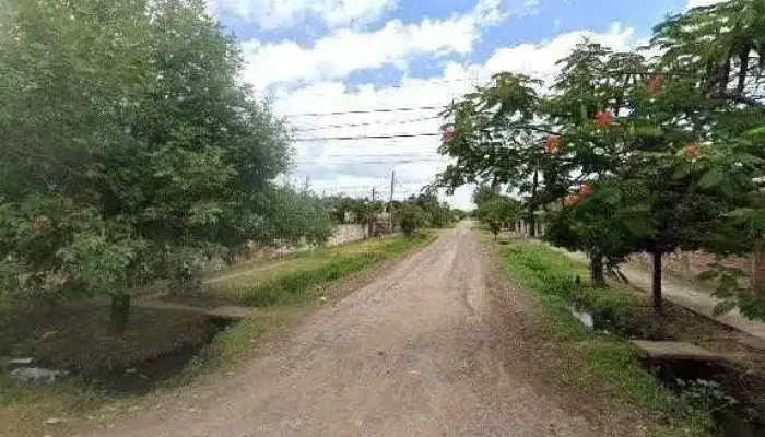 Bravo Soluciones En Madera -  Telefonodeg - Barranqueras