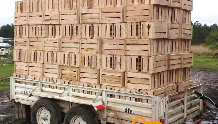 Cajonera Fernandez Del Propietario - Santa Lucía