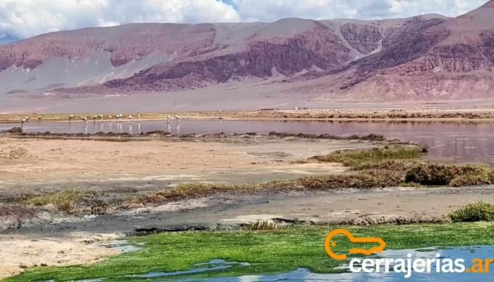 Campo De Piedra Pomez -  Montana - Antofagasta de la Sierra