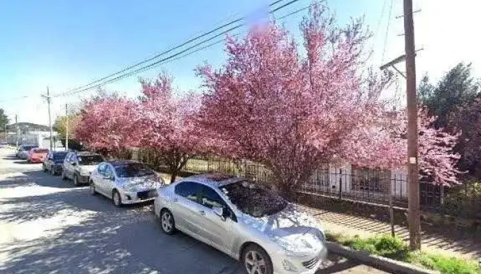 Cerrajeria Carey -  Puntaje - San Carlos de Bariloche