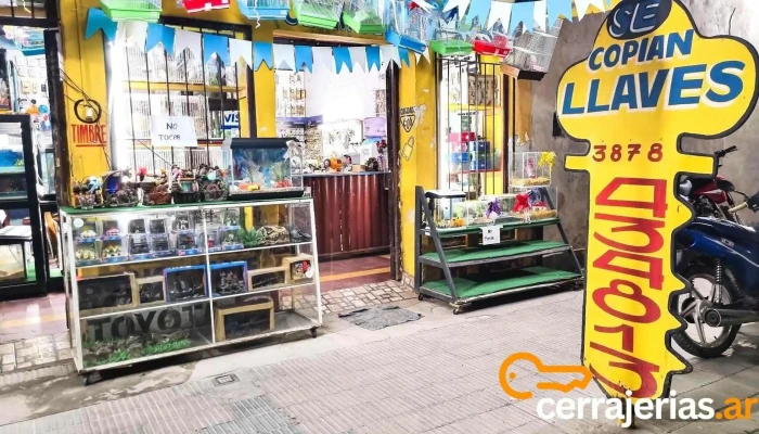 Cerrajería Lamadrid - San Ramon De La Nueva Oran