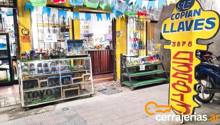 Cerrajeria Lamadrid Sitio Web - San Ramon de la Nueva Oran