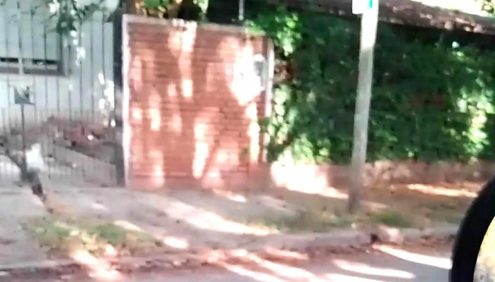 Cerrajeria Y Autoradioelectricidad Autocode Hogar Y Automovil Zona - Hurlingham