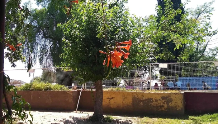 Complejo Las Rosas -  Fotos - Las Heras