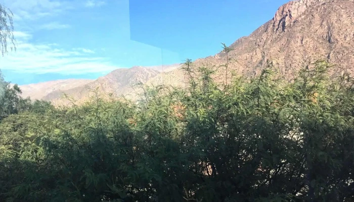 Complejo Los Rosales Cafayate - Cafayate