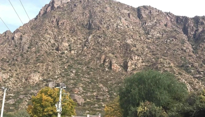 Complejo Los Rosales Cafayate -  Comentarios - Cafayate